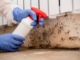 Best Mold Odor Removal Services  in Argo, AL